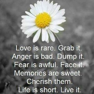 Meet your Posher, Lori